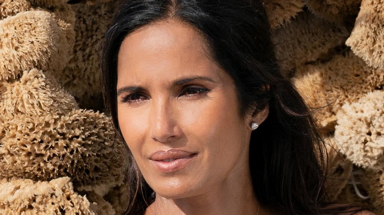 Padma Lakshmi posing by sponges