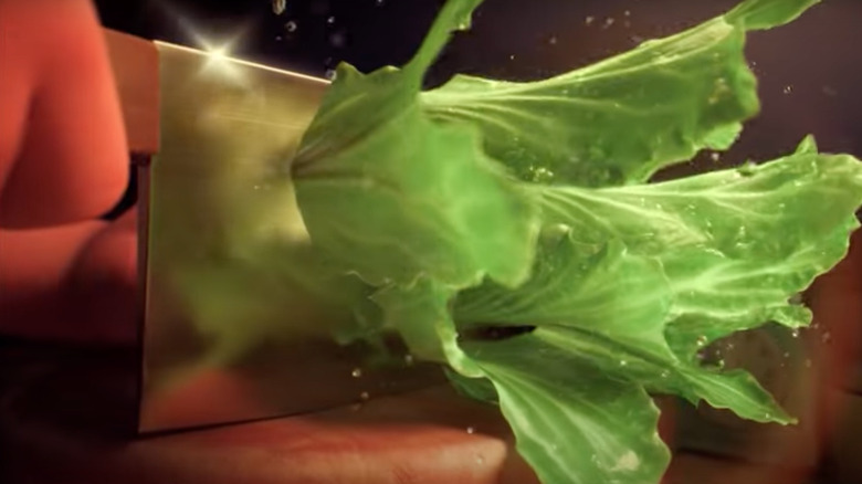 lettuce scene from Turning Red