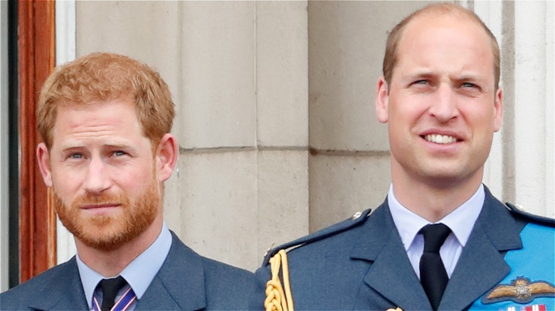 Prince Harry and Prince William