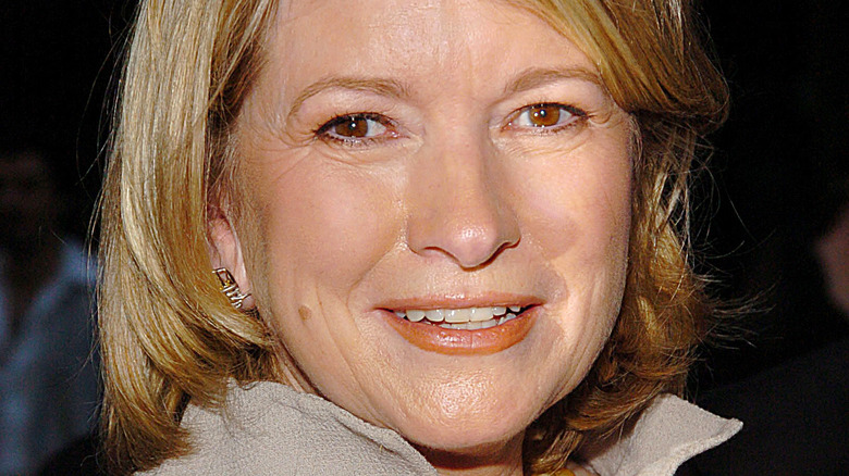 Martha Stewart close-up