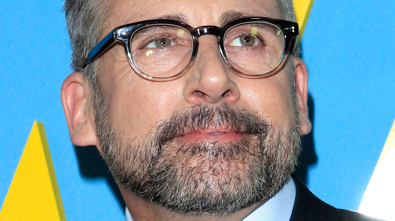 Steve Carell beard and glasses