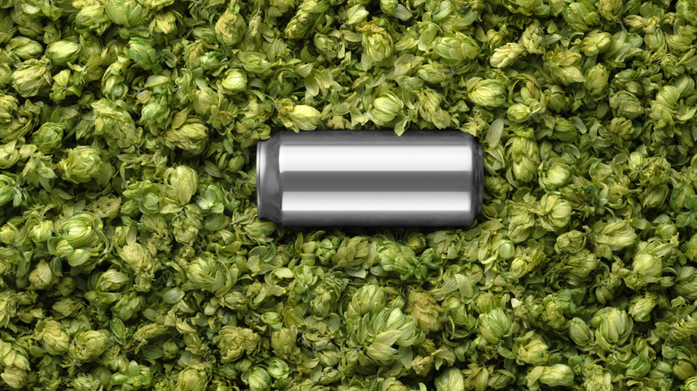 A silver can sitting atop a pile of green hops