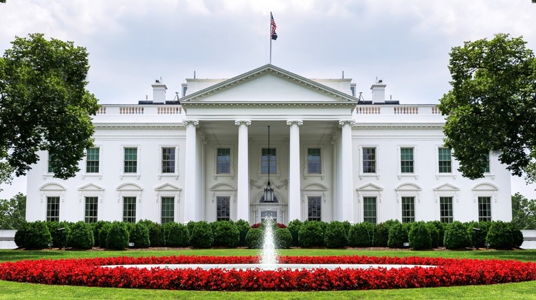 The White House 