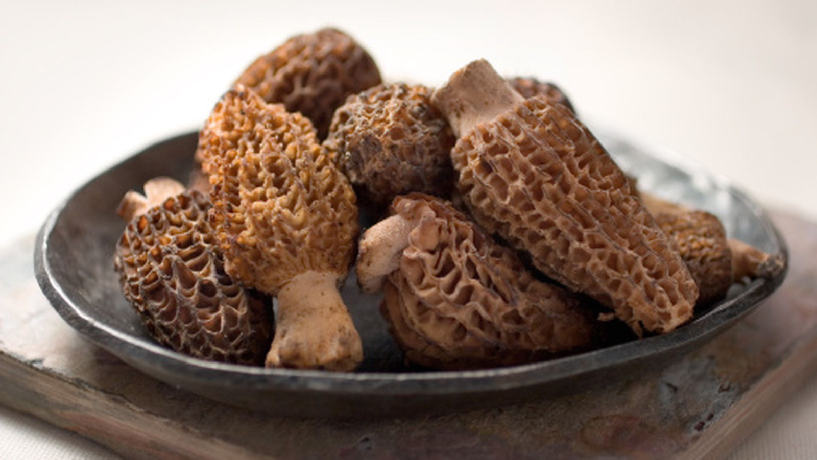 <a href="https://www.mashed.com/1728425/how-to-correctly-store-fresh-morels/" target="_blank">How To Correctly Store Fresh Morels</a>