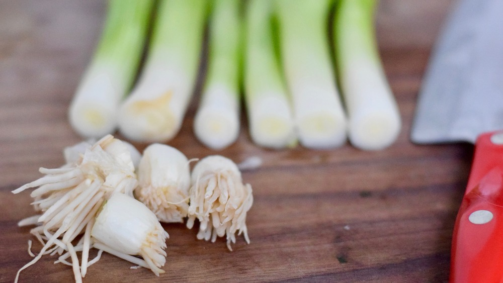 green onion roots