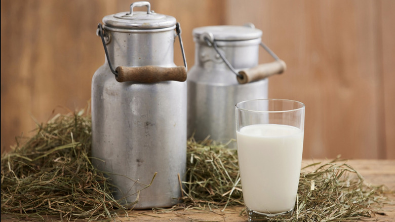 Metal milk jugs next to a glass of milk