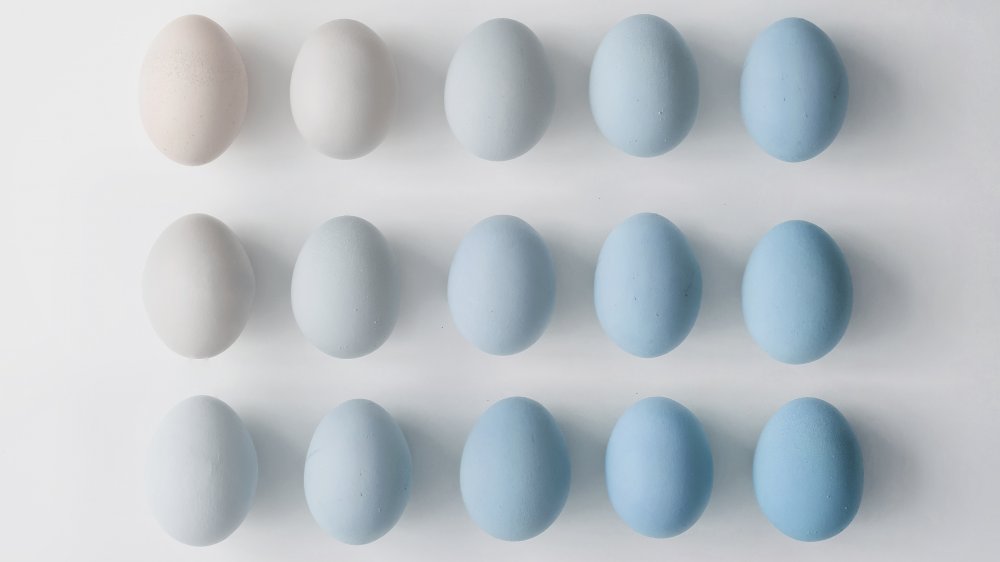 eggs of different shades
