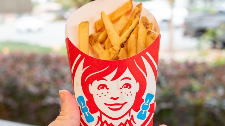 Hand holding up an order of Wendy's fries