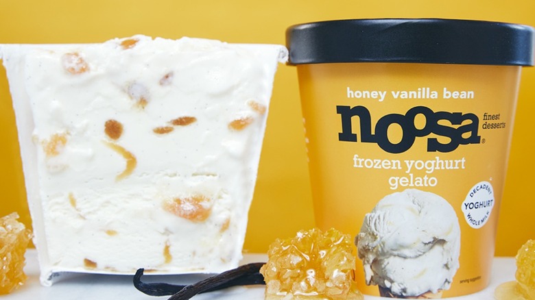 Noosa frozen yogurt gelato container