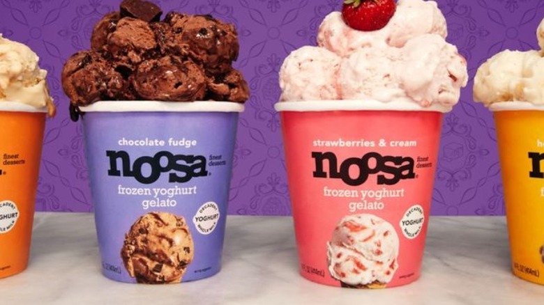 Noosa Frozen Yogurt containers