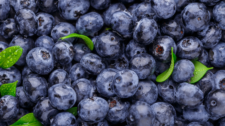 A bunch of blueberries with wax coating