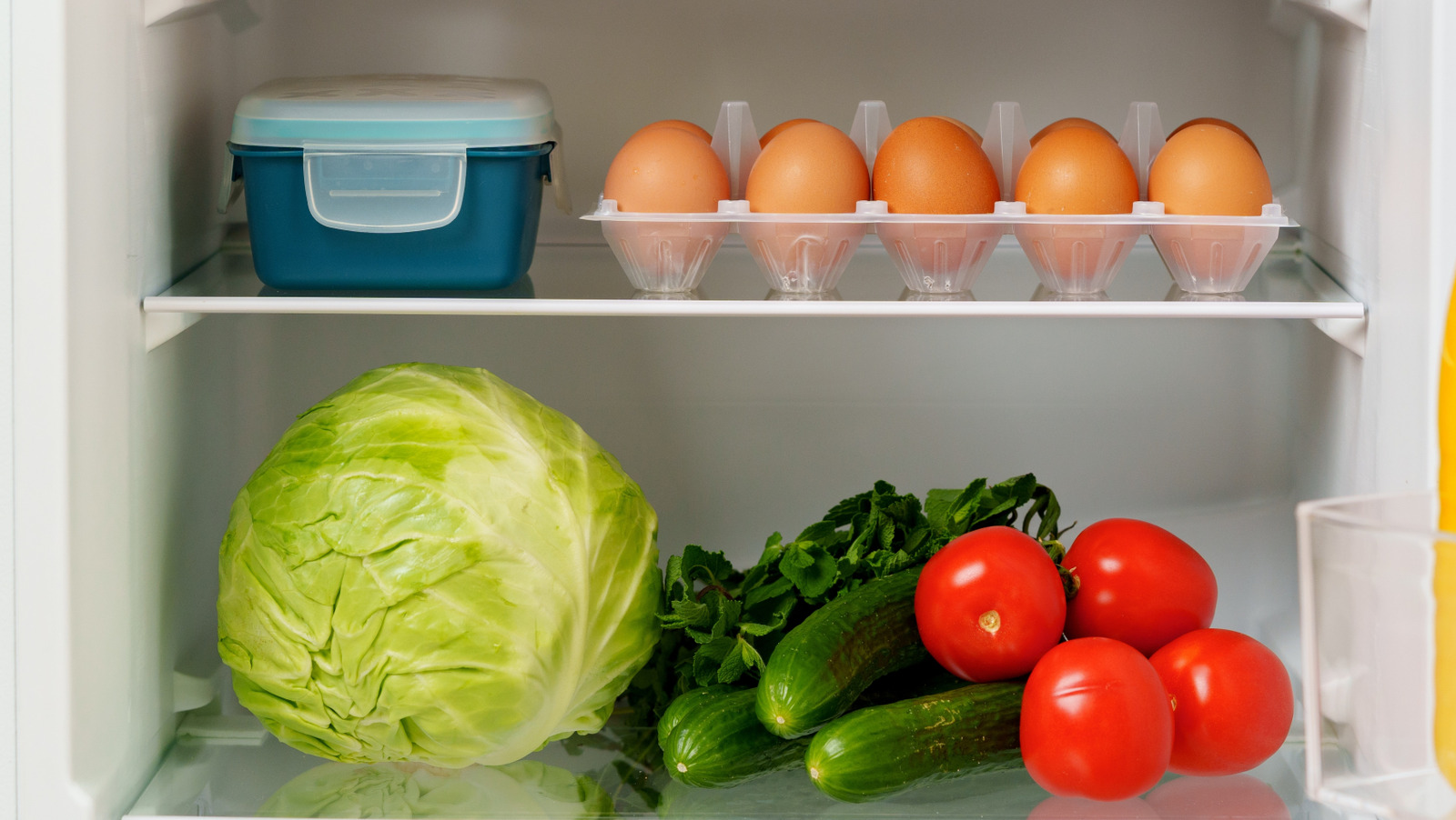 How To Keep The Inside Of Your Fridge And Freezer In Tip Top Shape