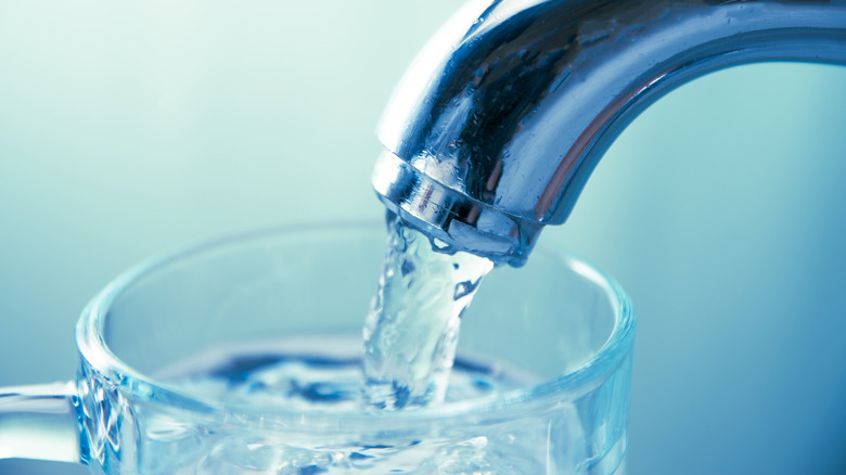 water pouring from a faucet into a glass cup