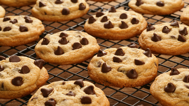 Chocolate Chip Cookies on rack