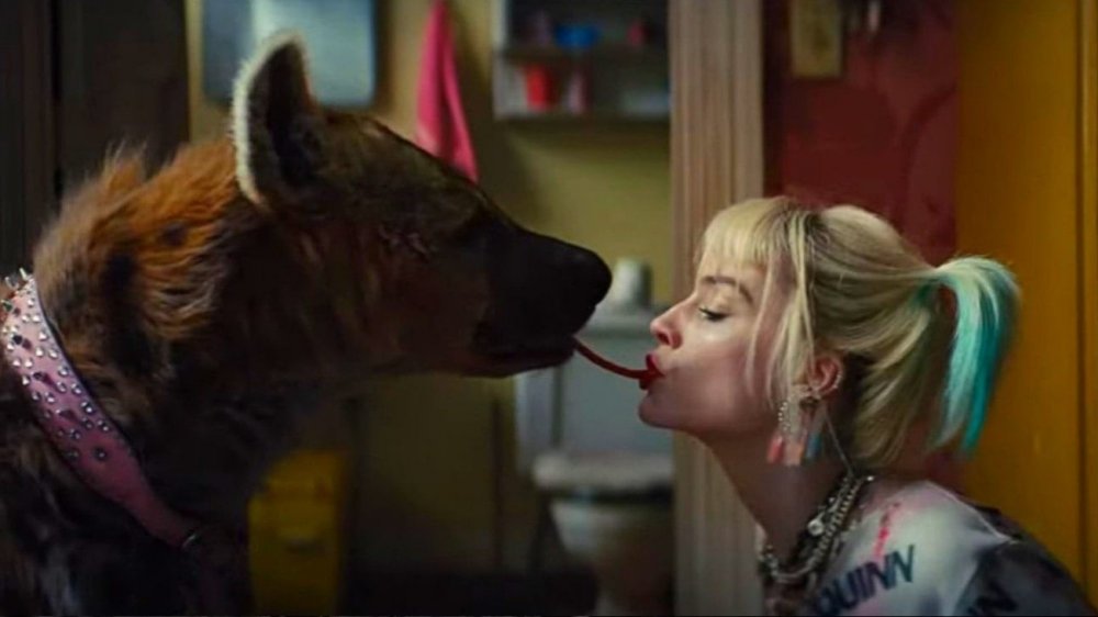 Harley Quinn and Bruce the hyena