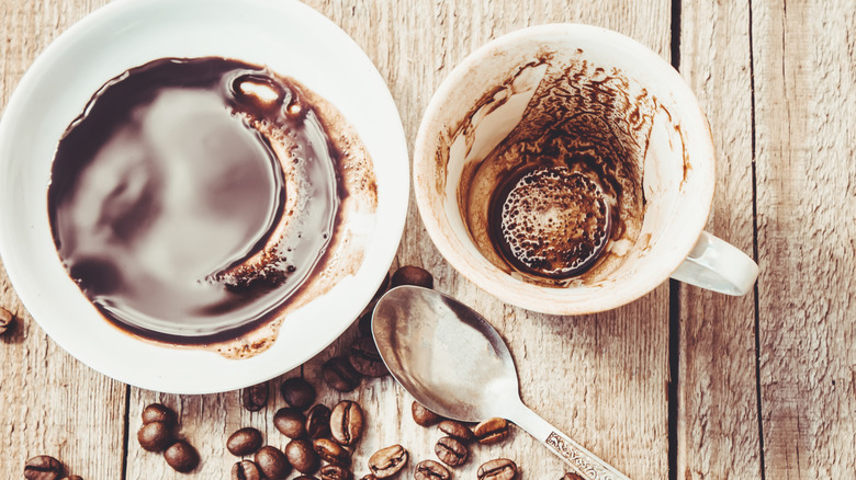 An empty cup of coffee next to coffee beans