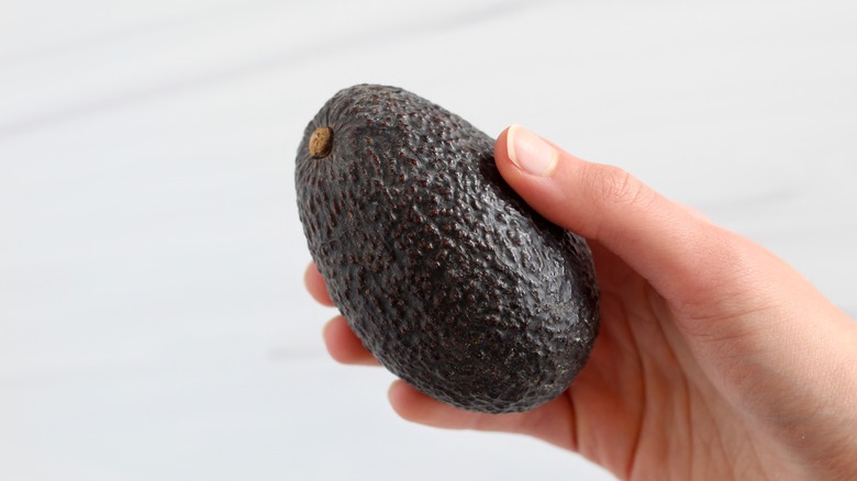 Holding a small avocado