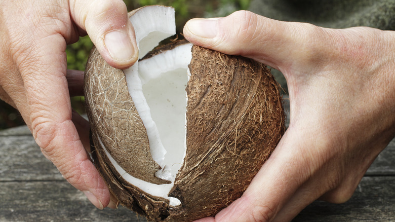 hands opening broken coconut