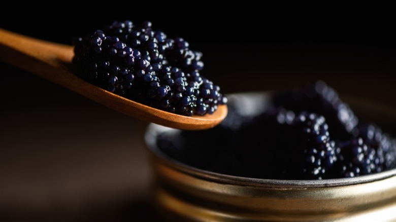Black caviar being scooped with a wooden spoon