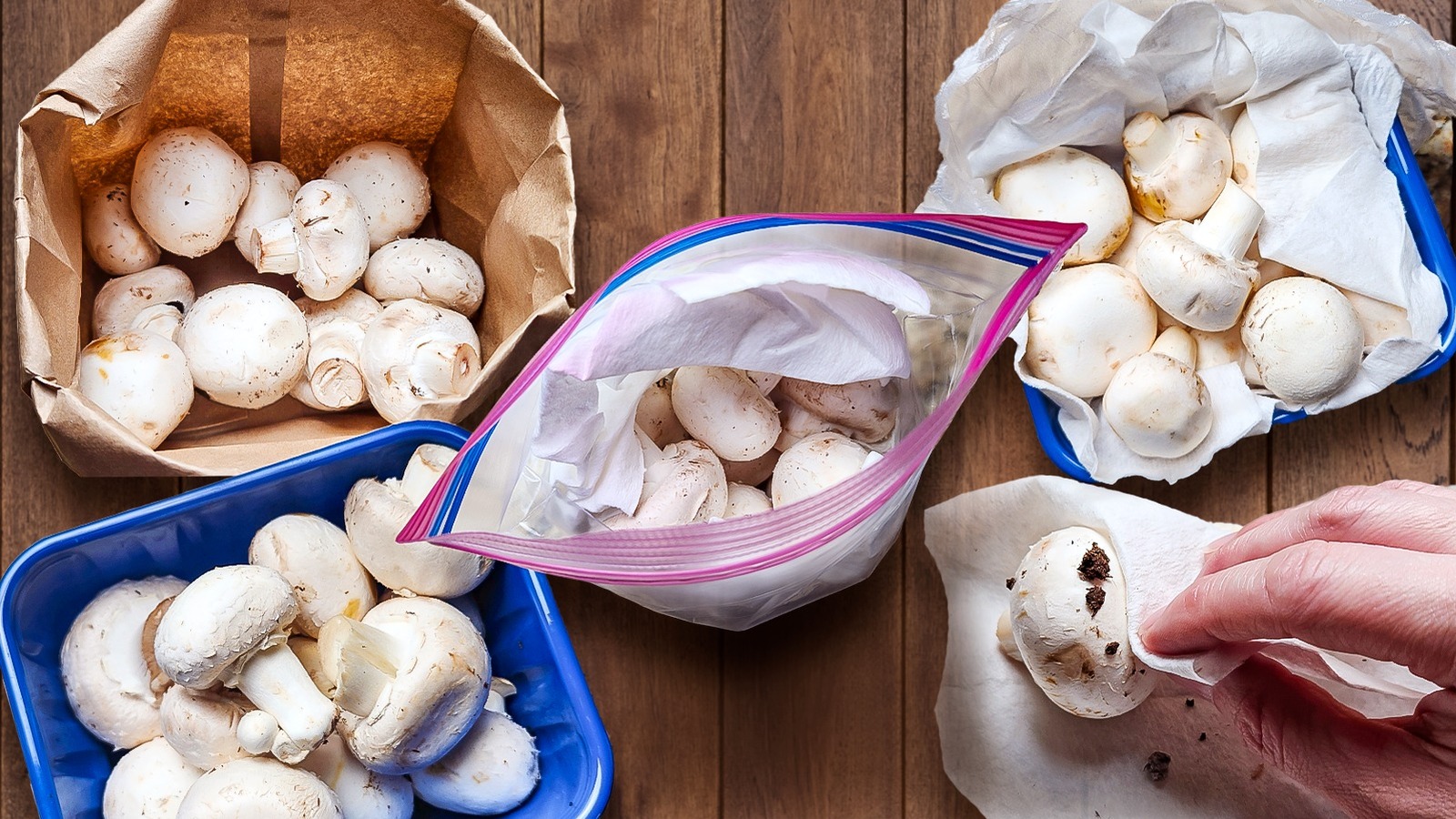 How To Store Mushrooms 9 Different Ways