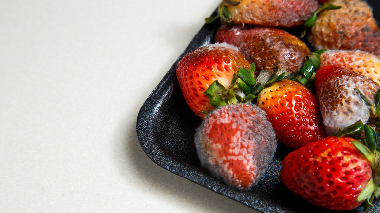 Close-up of moldy strawberries in container