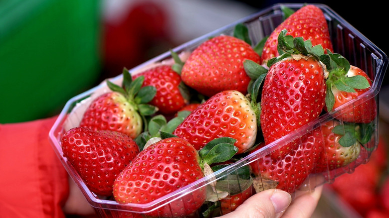 Hands holding plastic container of strawberries