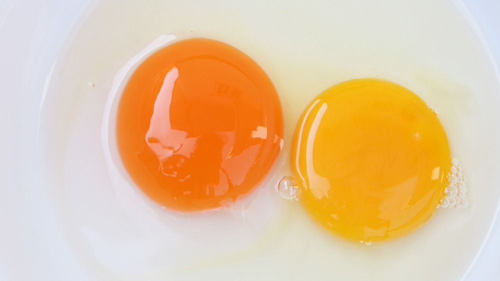 Duck and chicken yolks