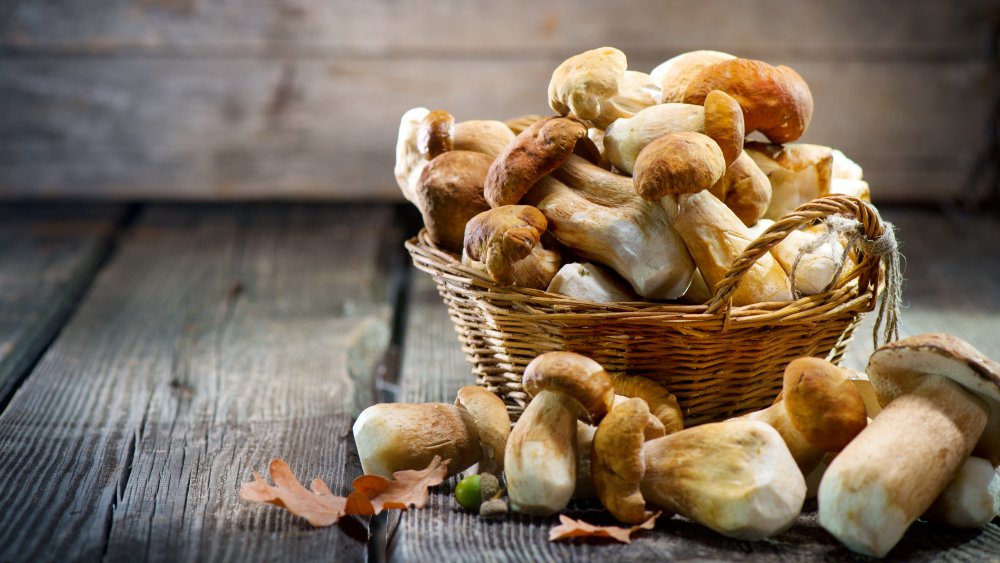 basket of mushrooms