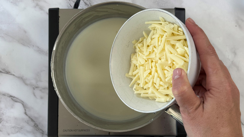 hand holding shredded cheese above a metal pot full of liquid