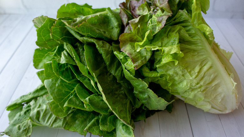 two heads of lettuce on a white wooden table