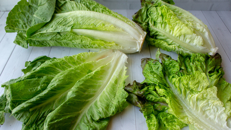 Two heads of lettuce with leaves removed on a white table