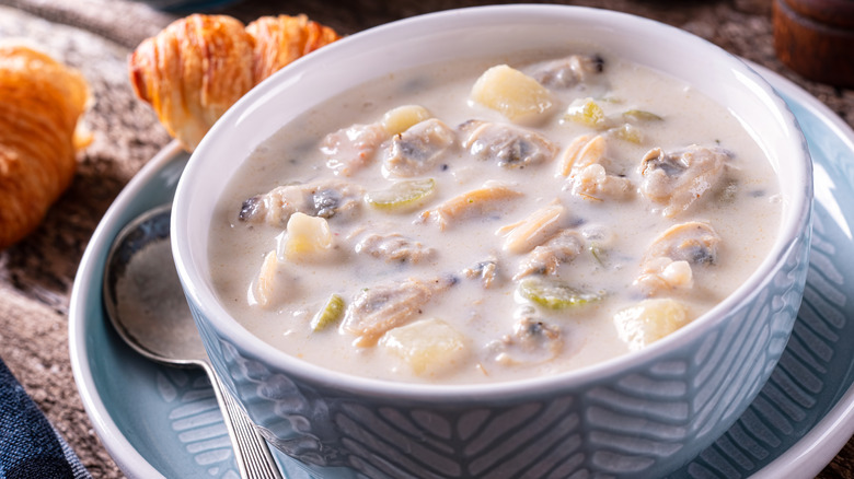 clam chowder