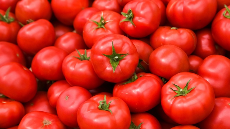 pile of fresh red tomatoes