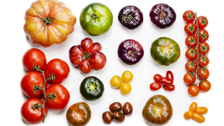 assorted heirloom tomatoes in different colors
