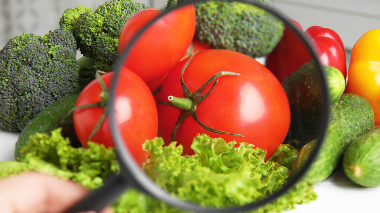 Examination of food including tomatoes