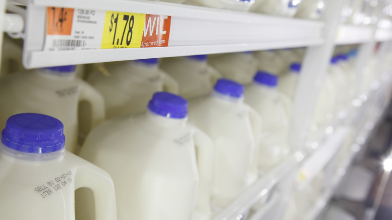 Row of milk at Walmart