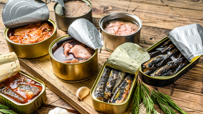 Opened cans of various types of fish and seafood