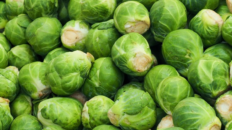 Fresh green Brussels sprouts