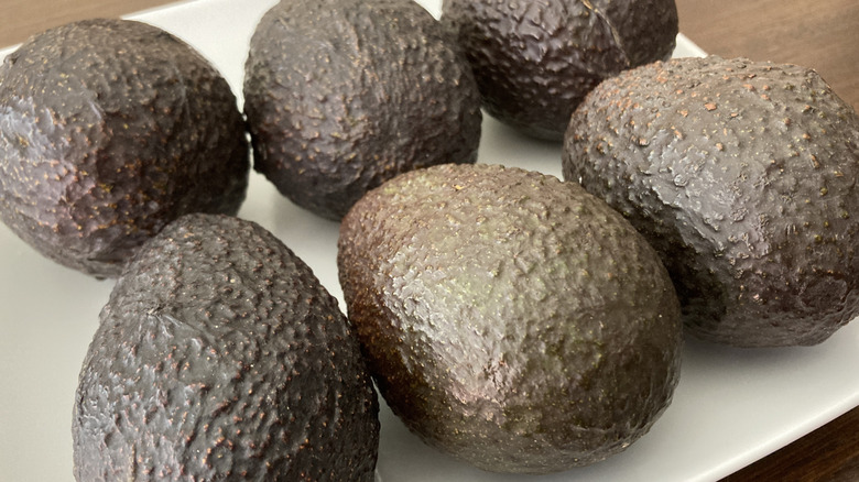 Six avocados on a white plate