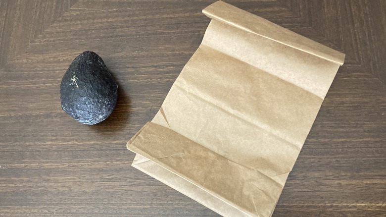 An avocado next to a paper bag