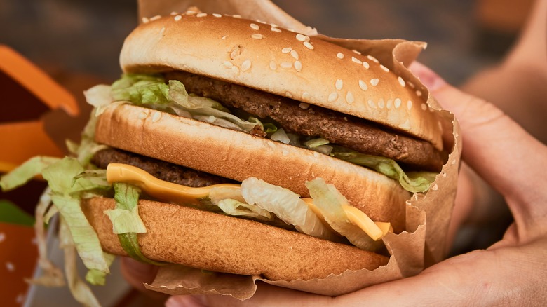 Person holding McDonald's Big Mac burger