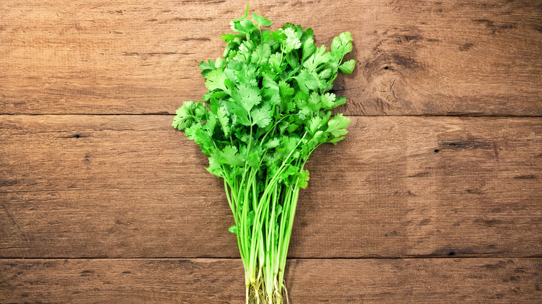 Parsley on wooden background