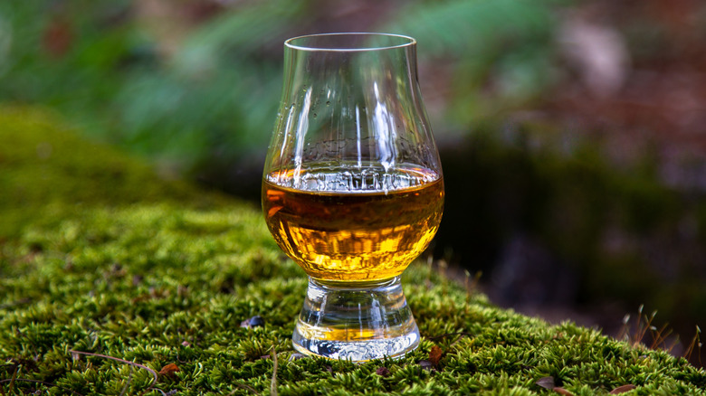 Scotch in glass on mossy log.