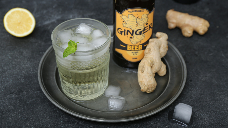 glass of ginger beer on a plate with ice cubes, a beer bottle, raw ginger and a sprig of mint