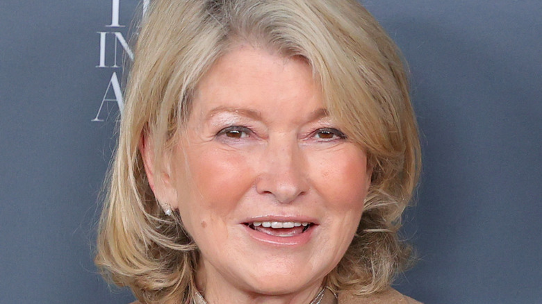 Martha Stewart close-up