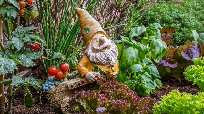 Garden gnome with wheelbarrow