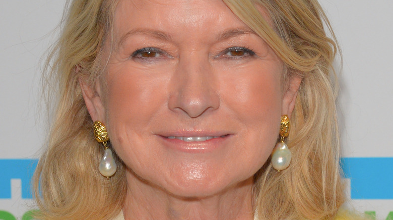 Martha Stewart Martha Stewart attends the 2019 Hudson River Park Gala at Cipriani South Street