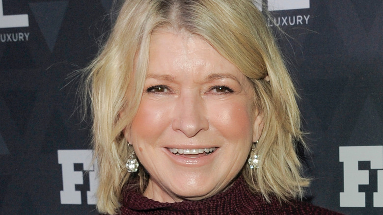 Martha Stewart headshot