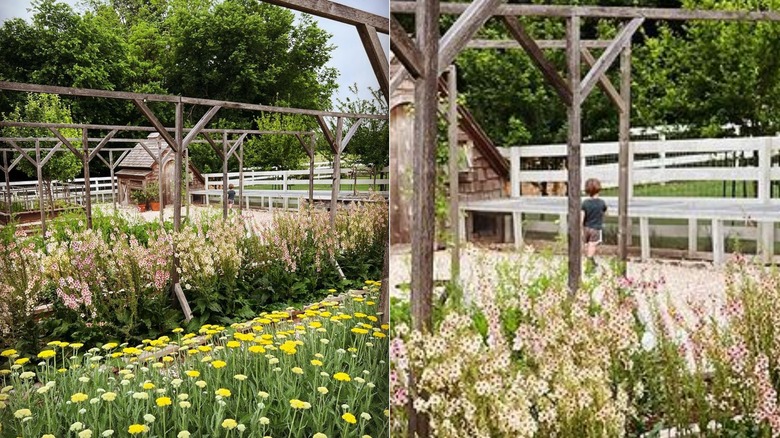 Joanna Gaines gardens and son
