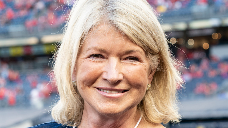 Martha Stewart close-up